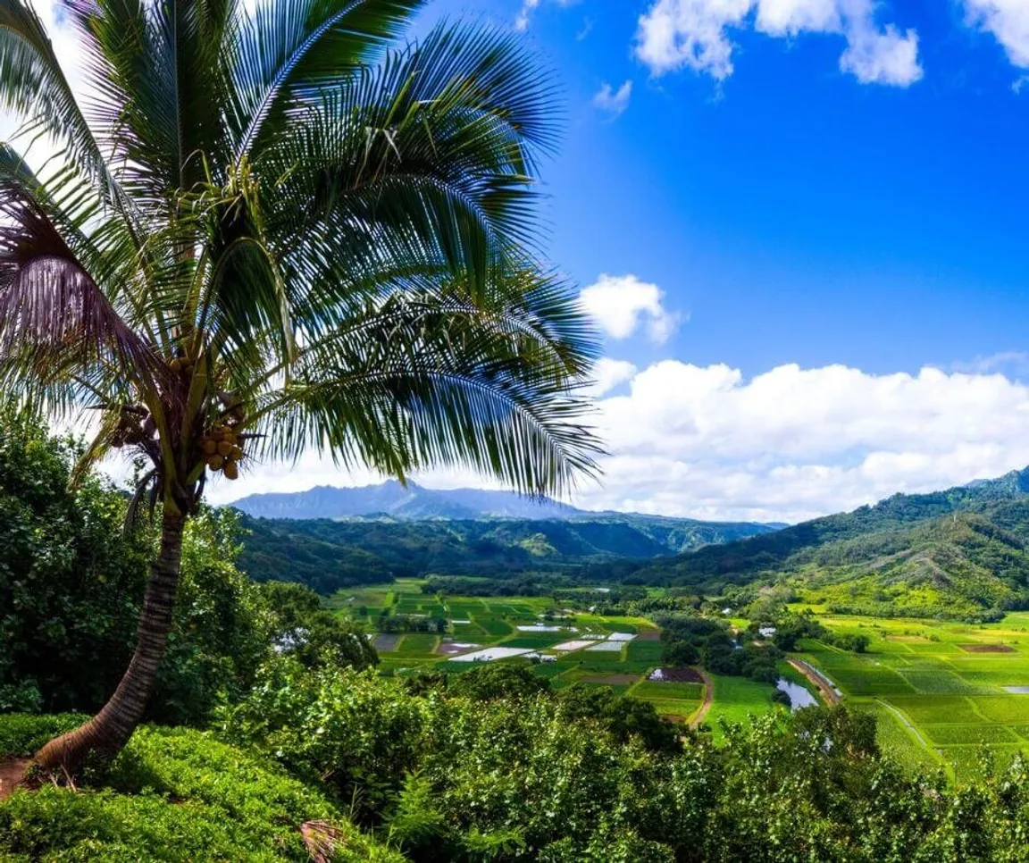 How Much Is My Land In Hawaii Worth