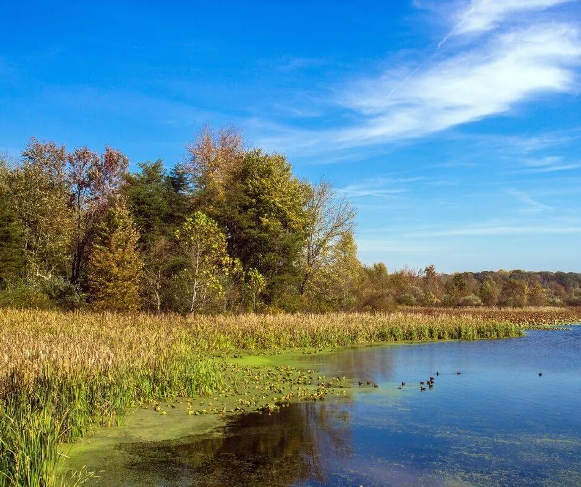 sell land with liens or back taxes in Indiana