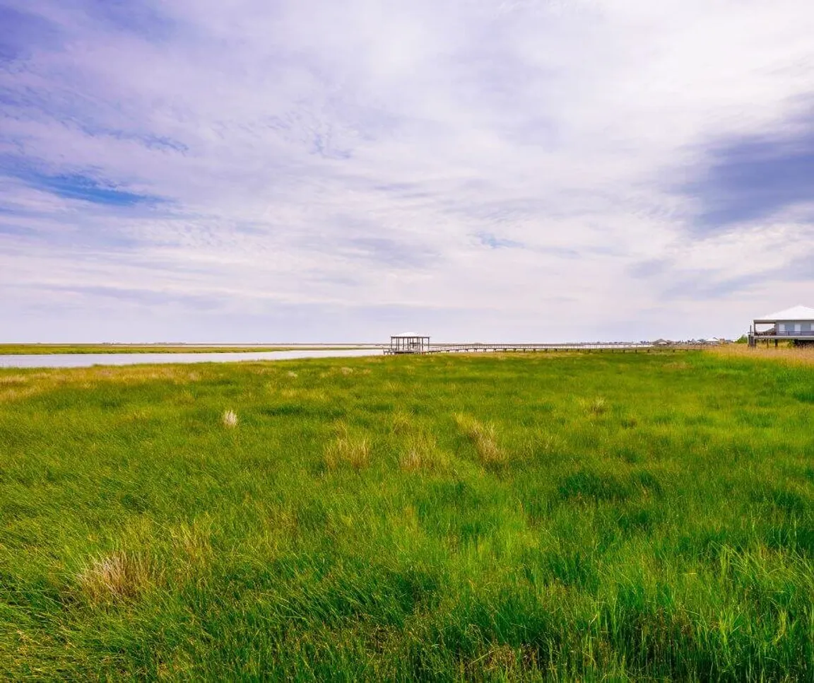 Sell Land By Owner In Louisiana