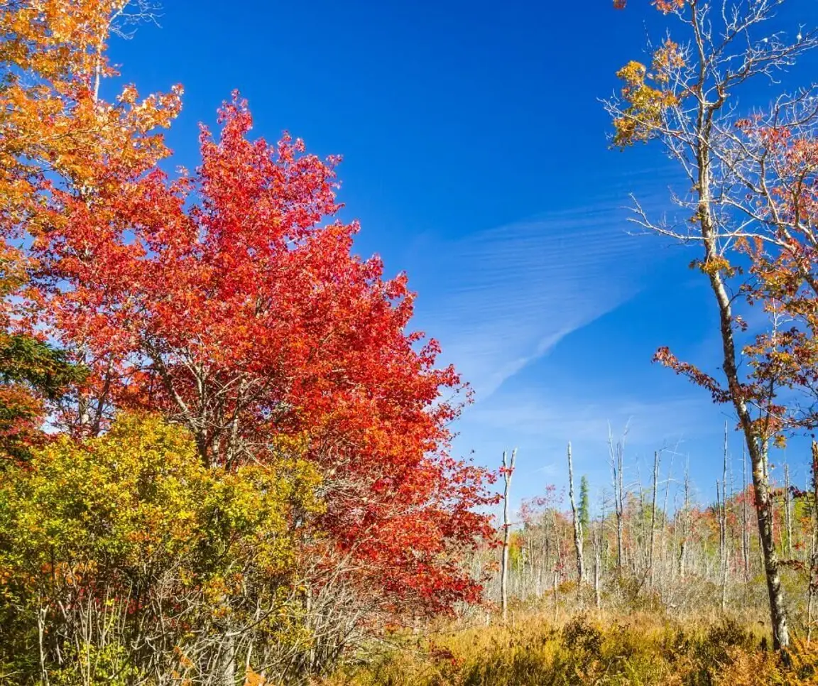 How Much Is My Land In Maine Worth