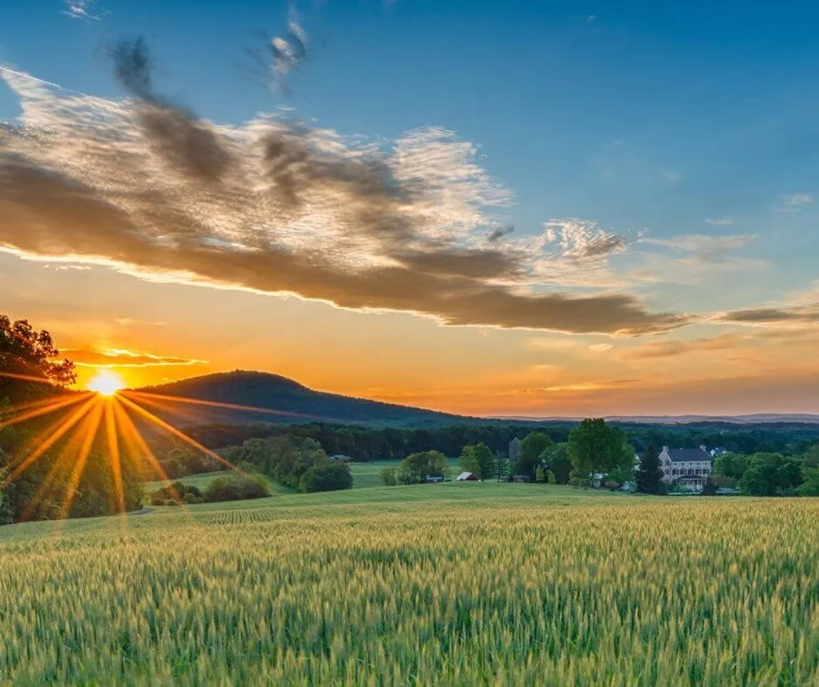 sell land with liens or back taxes in Maryland