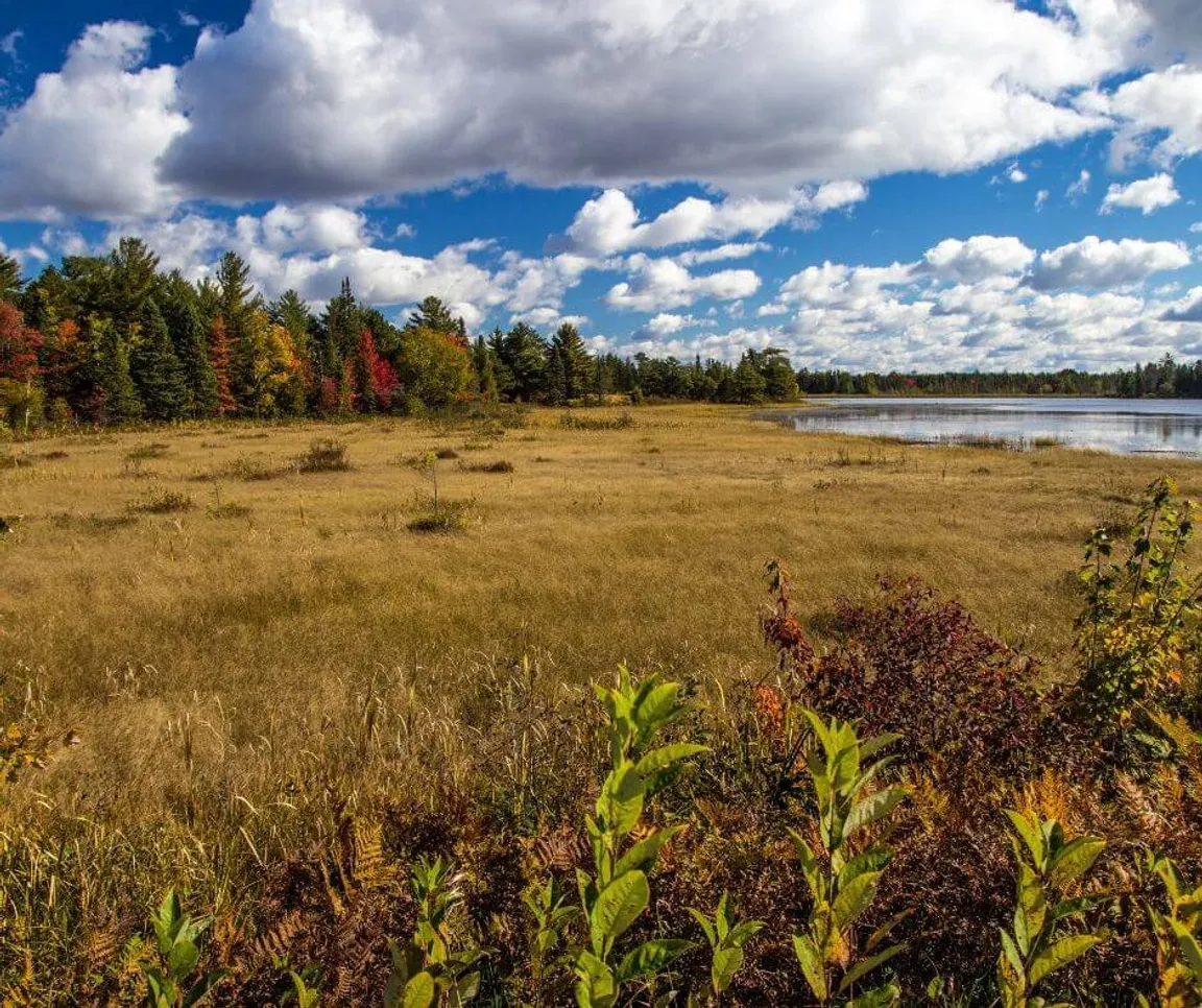 How Much Is My Land In Michigan Worth