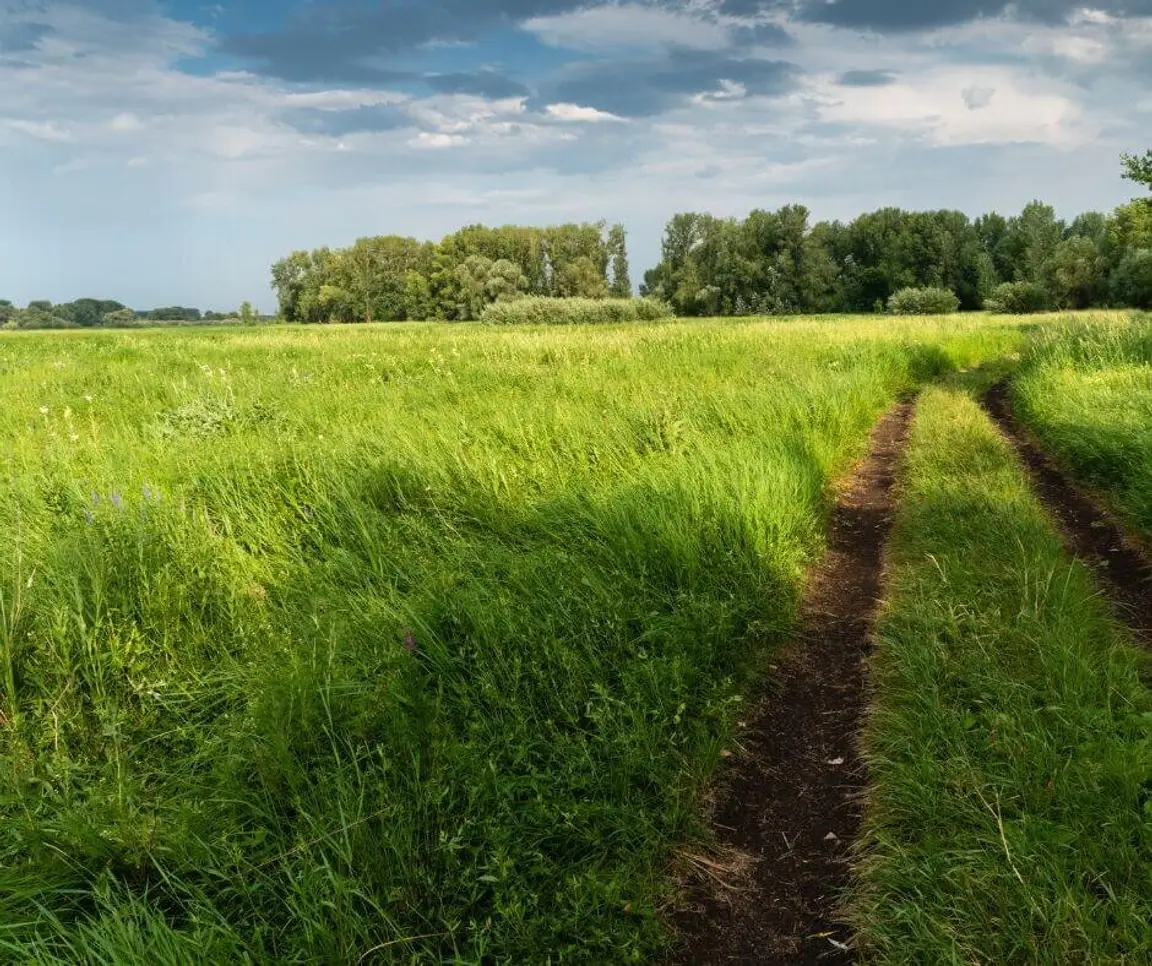 sell land with liens or back taxes in Mississippi