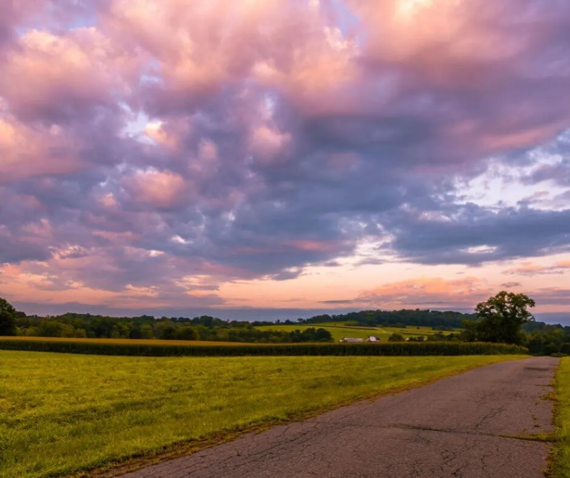 sell land with liens or back taxes in New Jersey