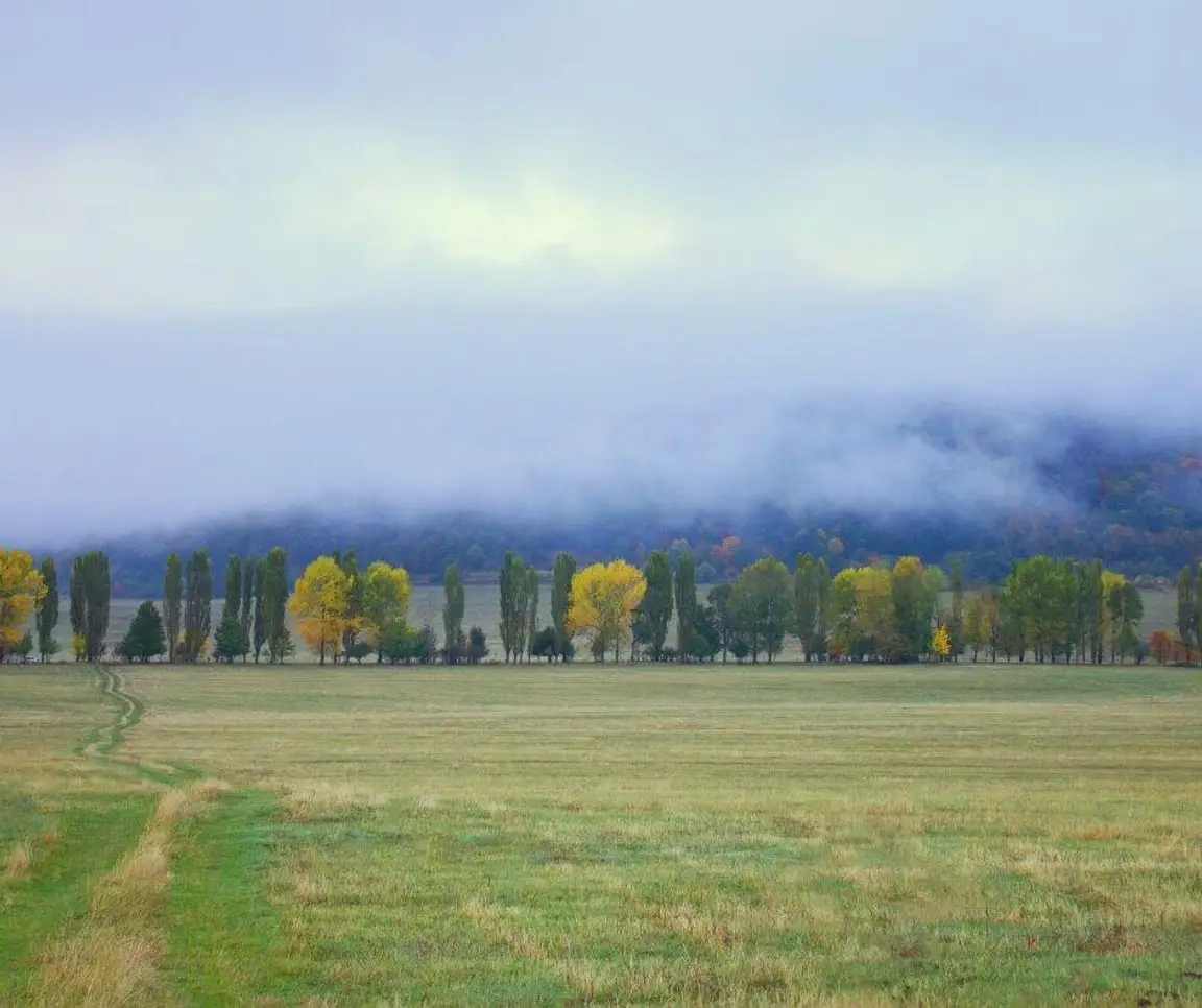 sell land with liens or back taxes in West Virginia