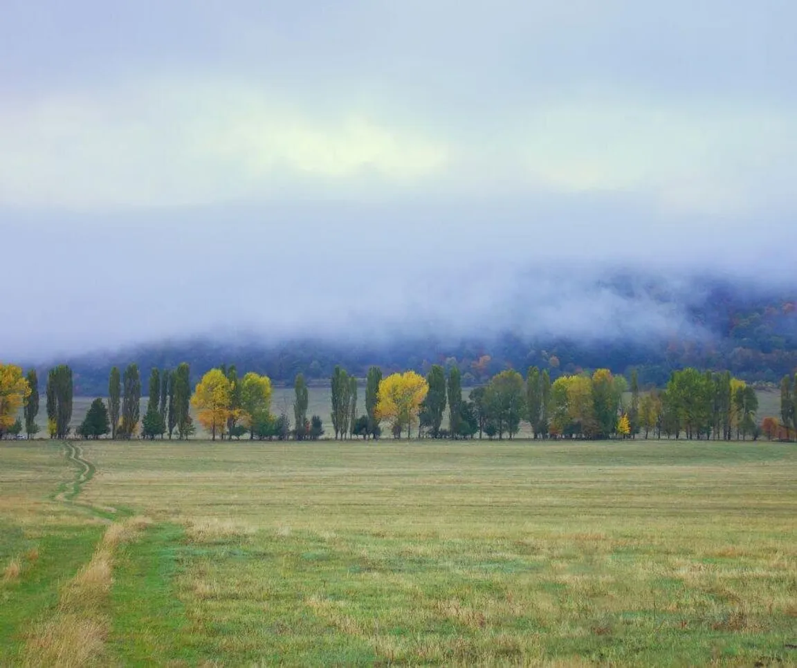 sell land with liens or back taxes in West Virginia