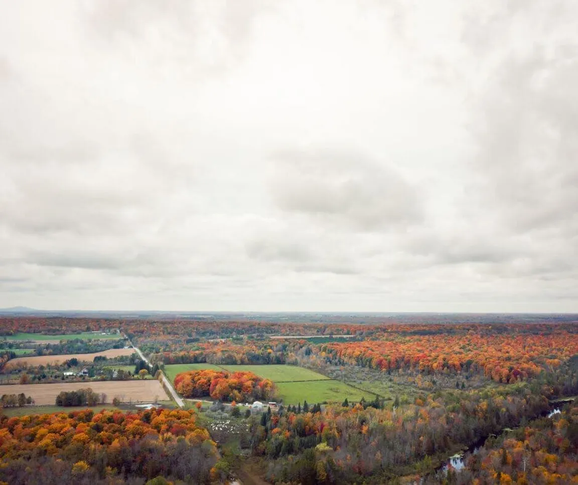 How Much Is My Land In Wisconsin Worth