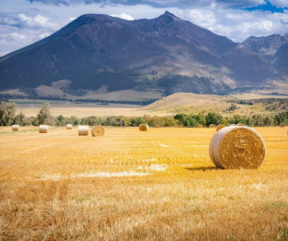 How Much Is My Land In Wyoming Worth