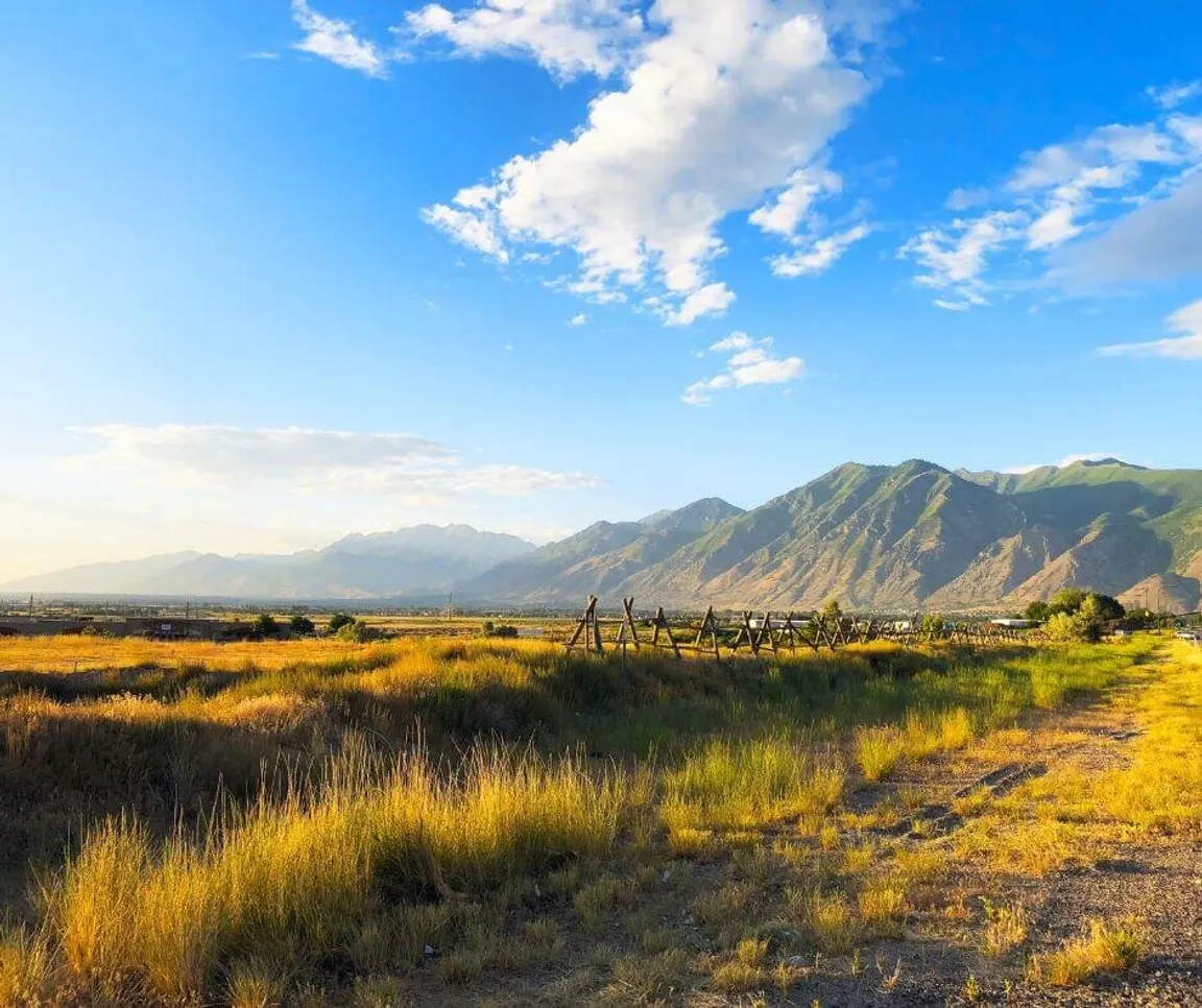 sell land with liens or back taxes in Utah