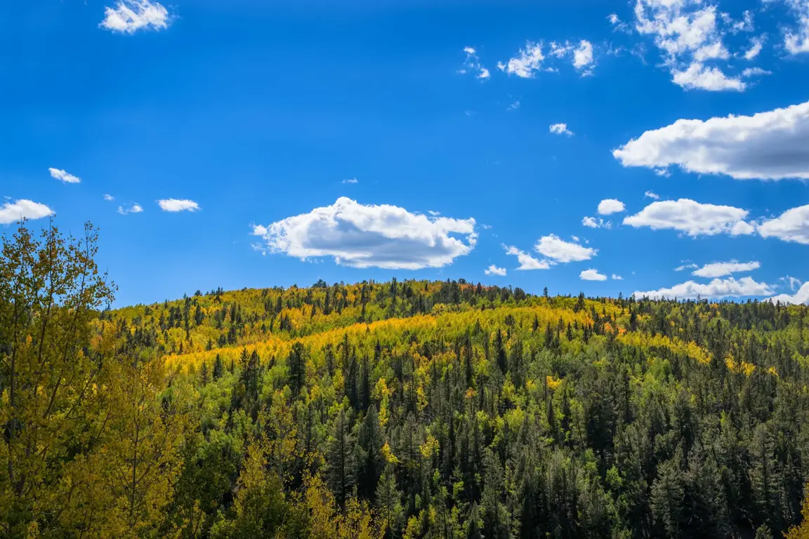 sell land to a developer in Colorado