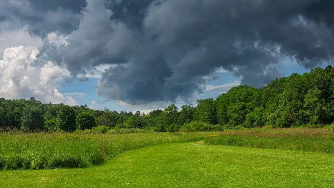 sell land to a developer in Connecticut