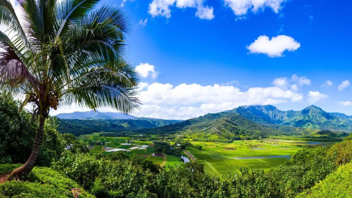 sell land to a developer in Hawaii