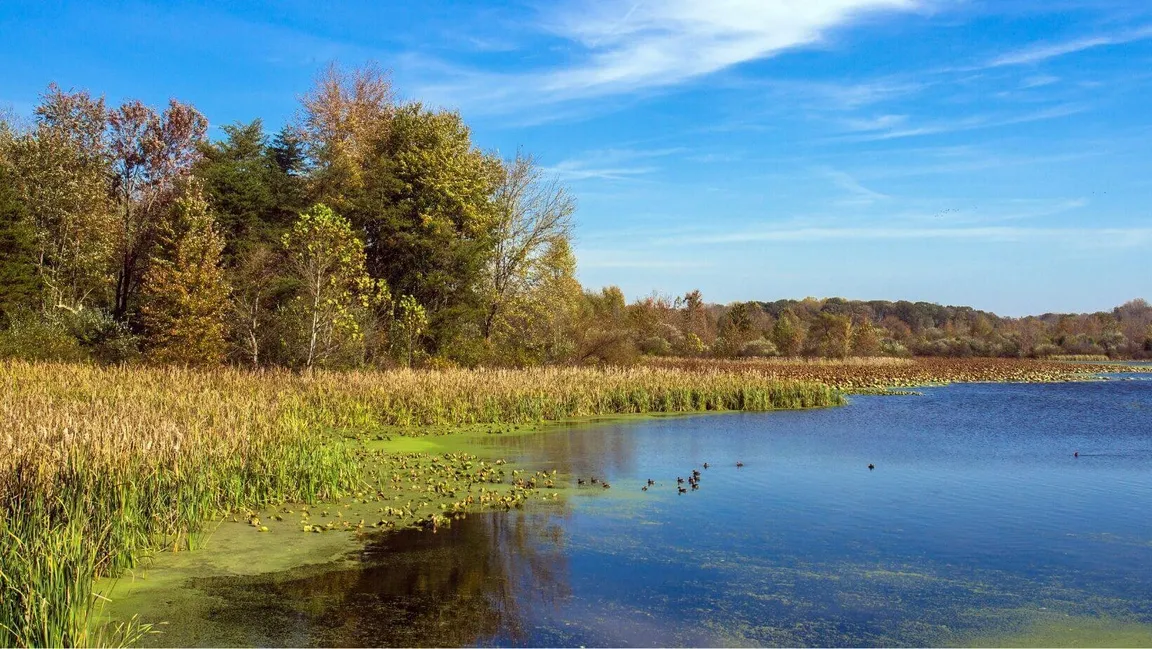 sell land to a developer in Indiana