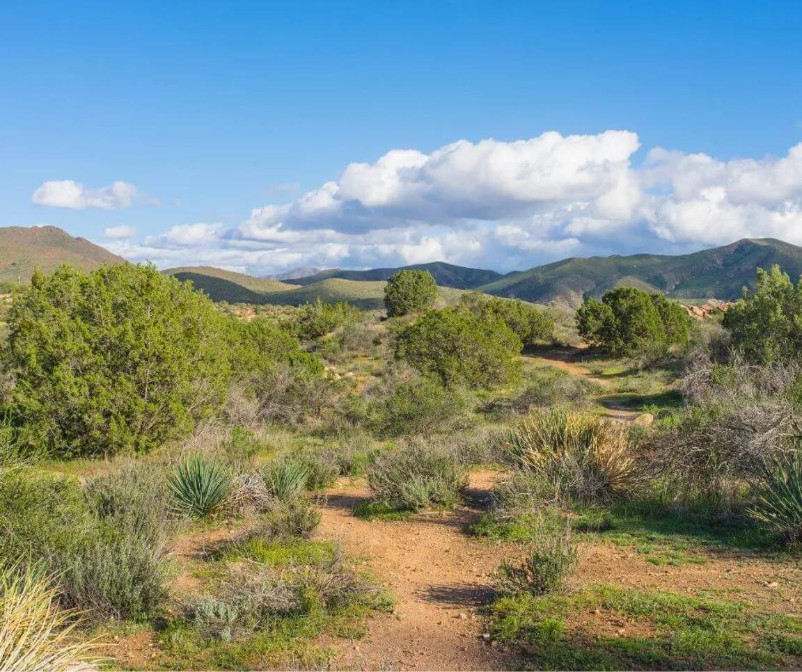 sell land to a developer in Nevada