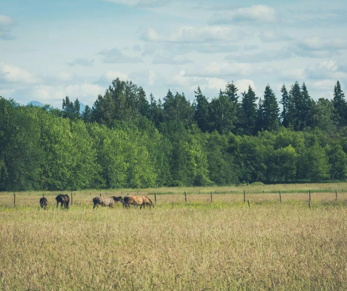 sell land to a developer in Washington