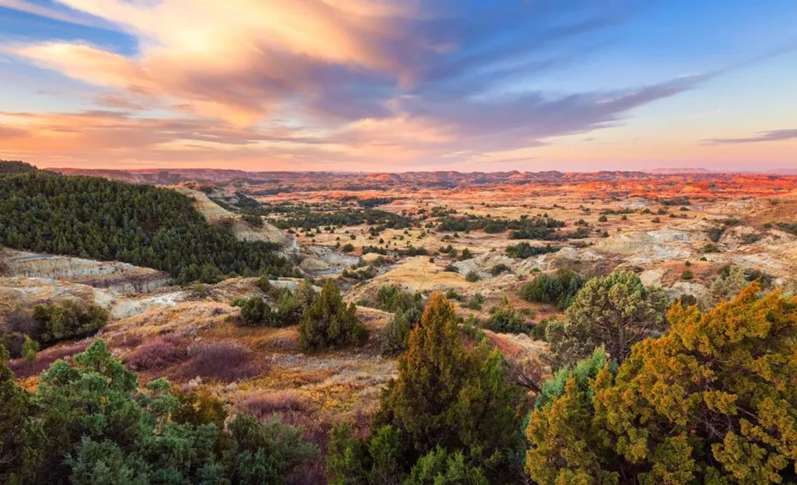 sell my probate house in North Dakota