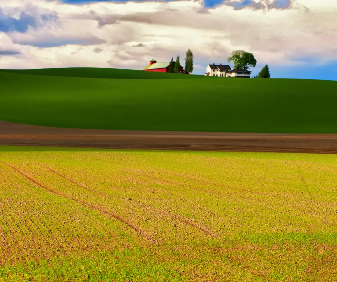 How much is my land worth in SC