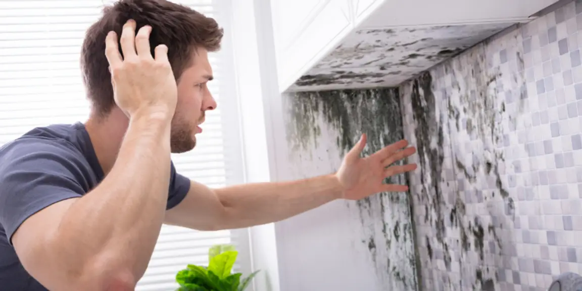 Property with Mold for Sale in [market_city]