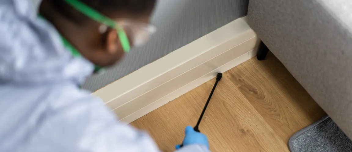 Cost for Termite Inspections Texas