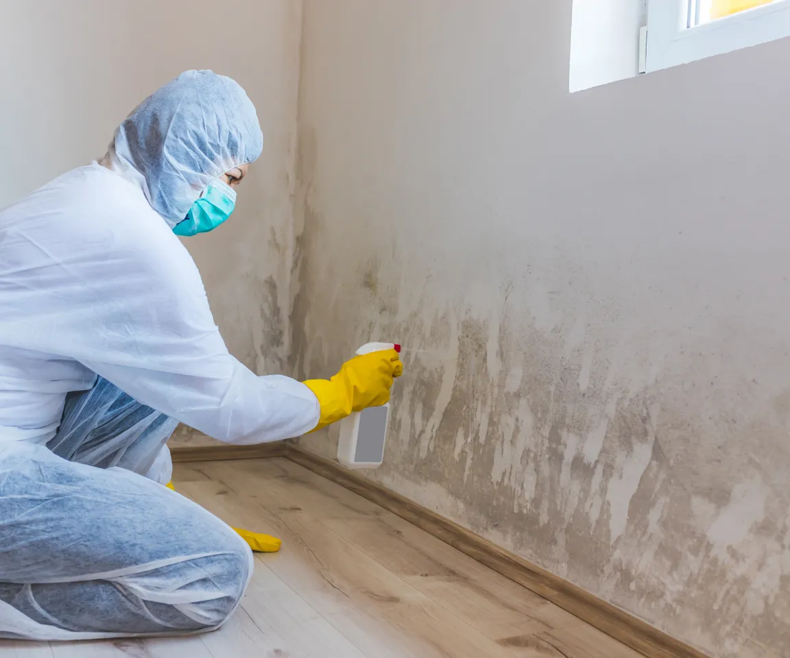 Selling House With Mold Texas