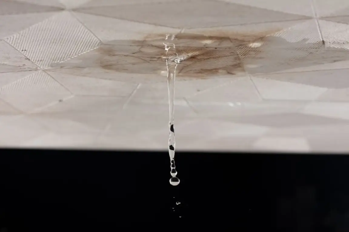 water damage [market_city]