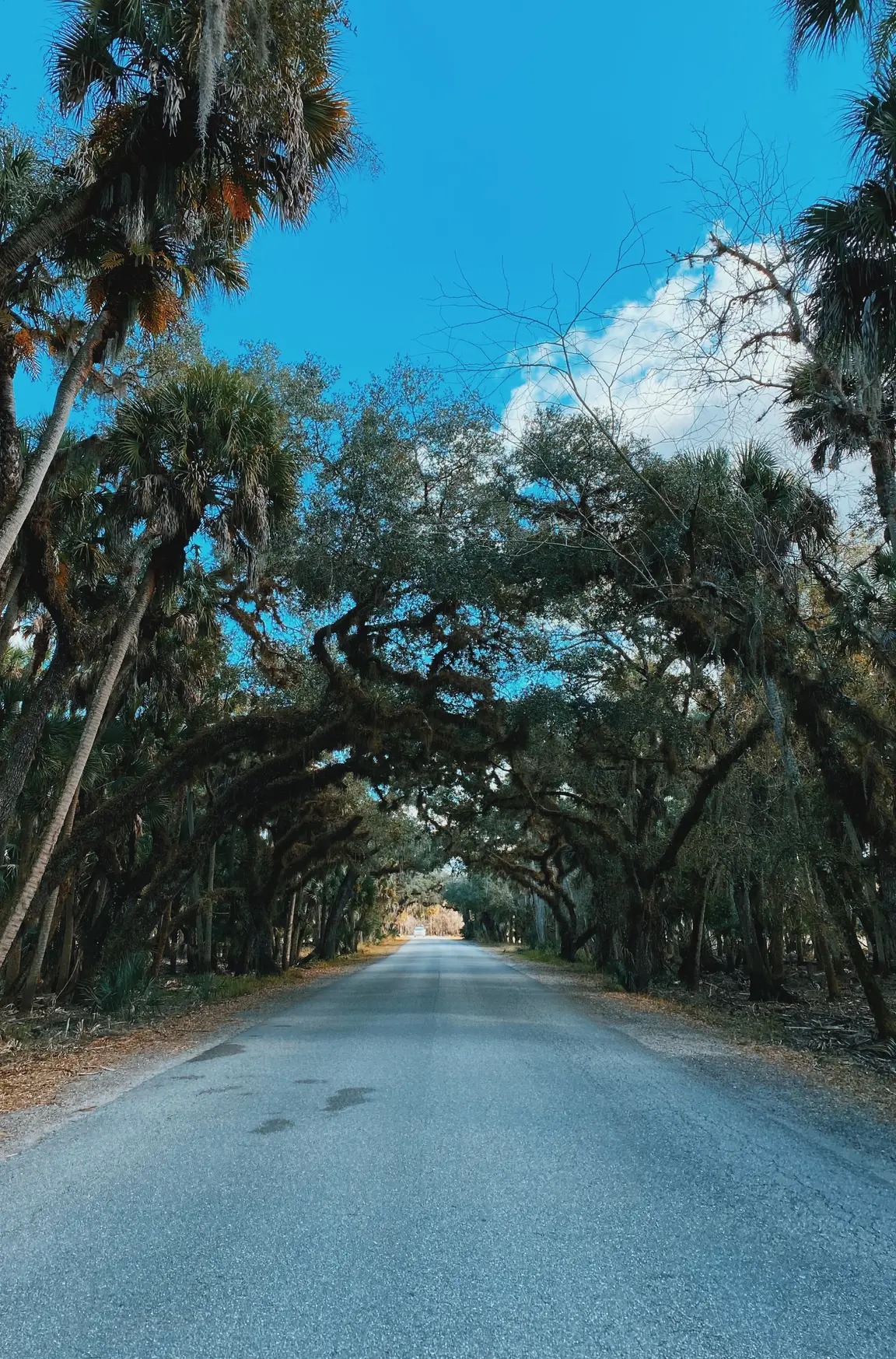 Fruitville Florida Real Estate
