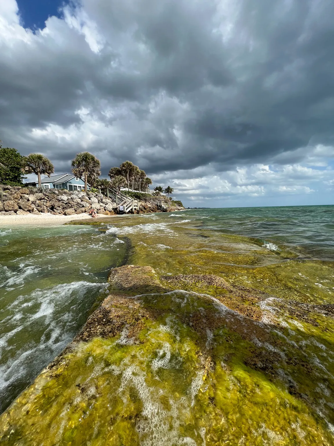 Real Estate Sarasota Florida
