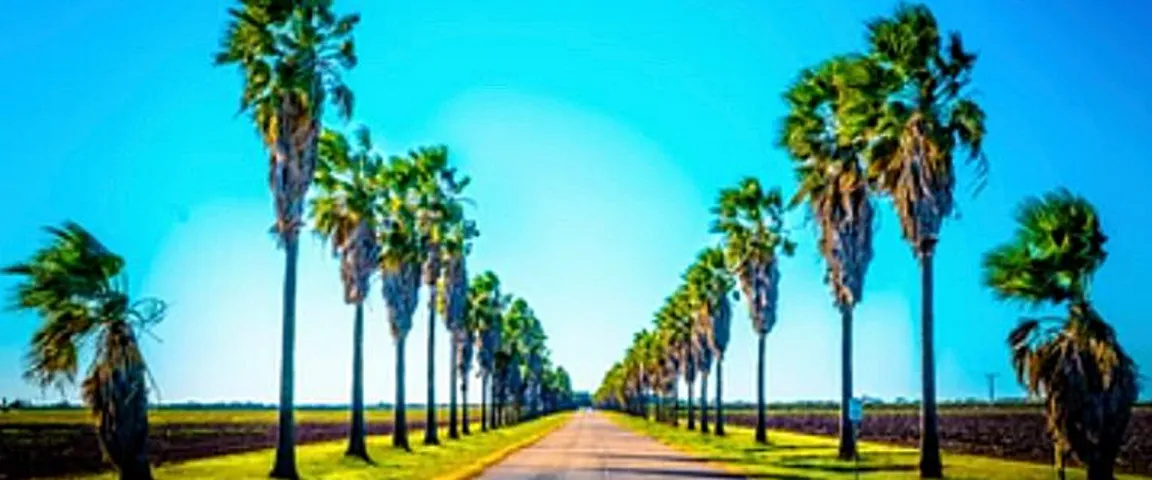 RGV