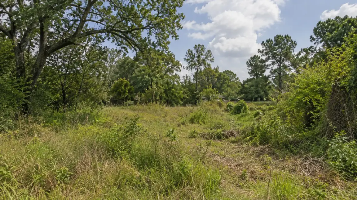 Things You Can Do With Inherited Land in Houston