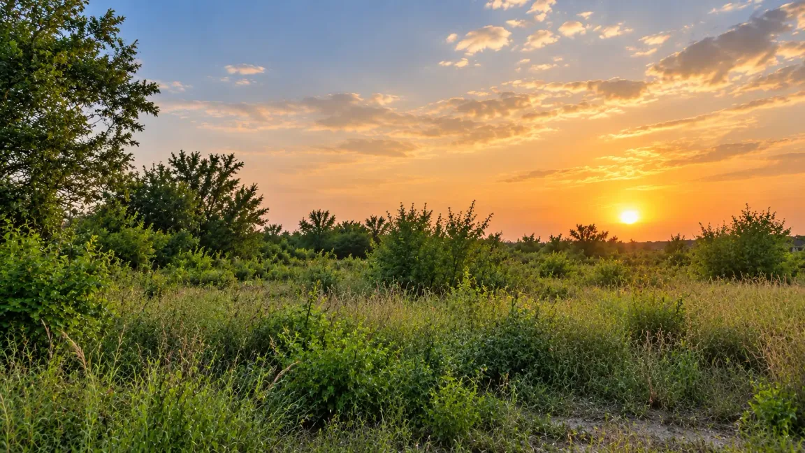 12 Questions to Ask a Land Buyer Before Selling in Houston, TX