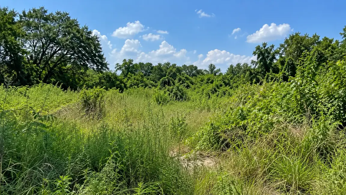 Ways to Sell Vacant Land in Houston