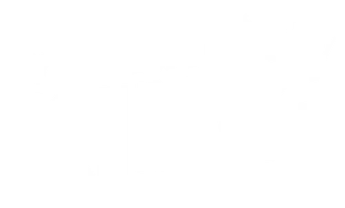 Wholesale King