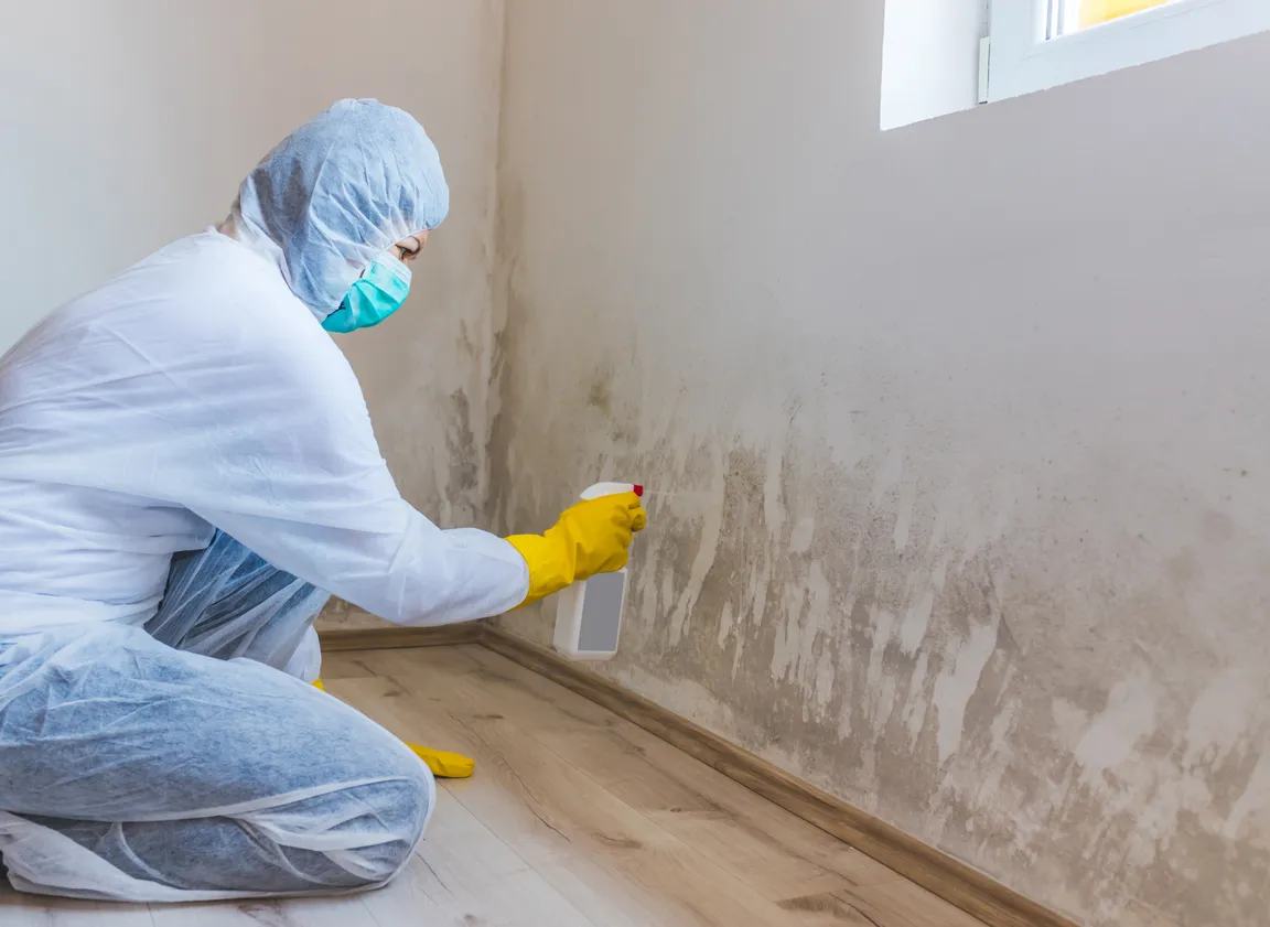 Overcoming Mold Issues When Selling Your Property Texas