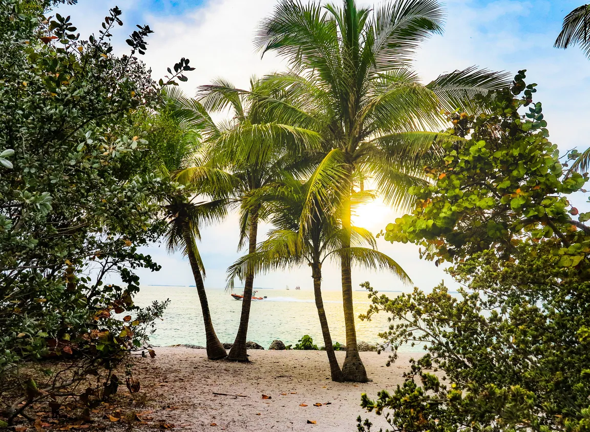 Broward County FL Investment Properties - Reivesti Real Estate