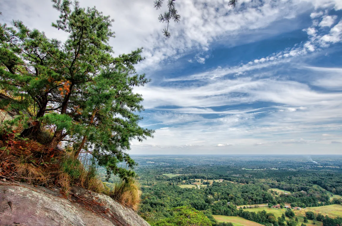 Georgia Investment Properties - Reivesti Real Estate