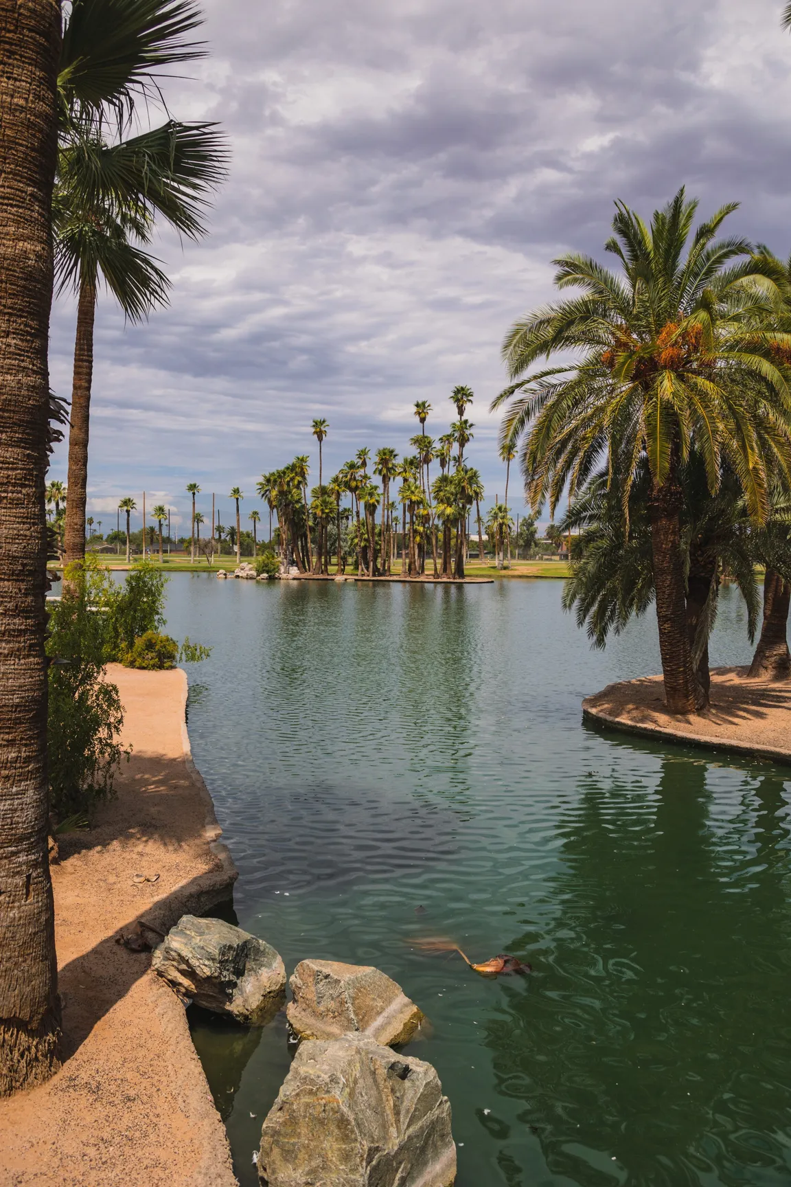 Chandler AZ Investment Properties - Reivesti Real Estate