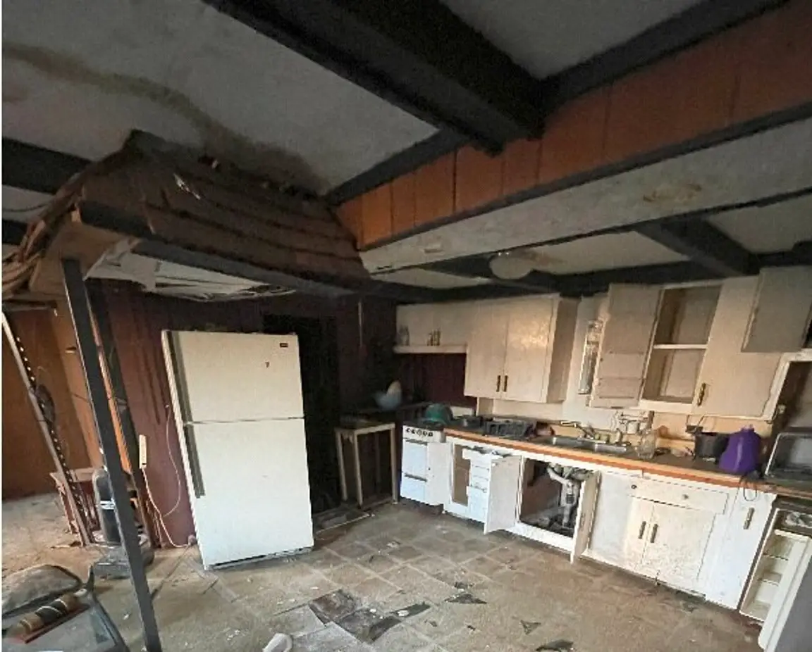 Selling Your Home with Mold Damage