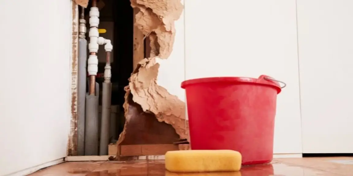 How Water Damage Affects Home Value and Buyer Confidence