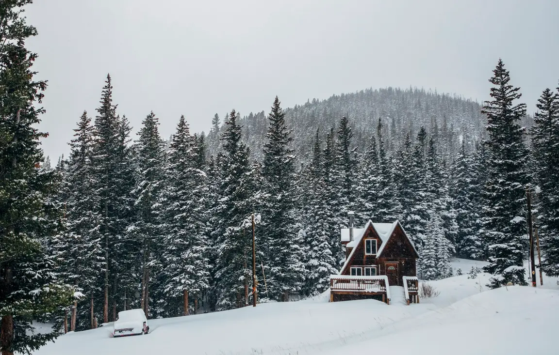 Wood-sided house on snow-covered ground surrounded by evergreens