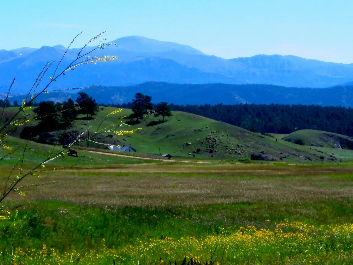 Open grassland with foothills rising in the background