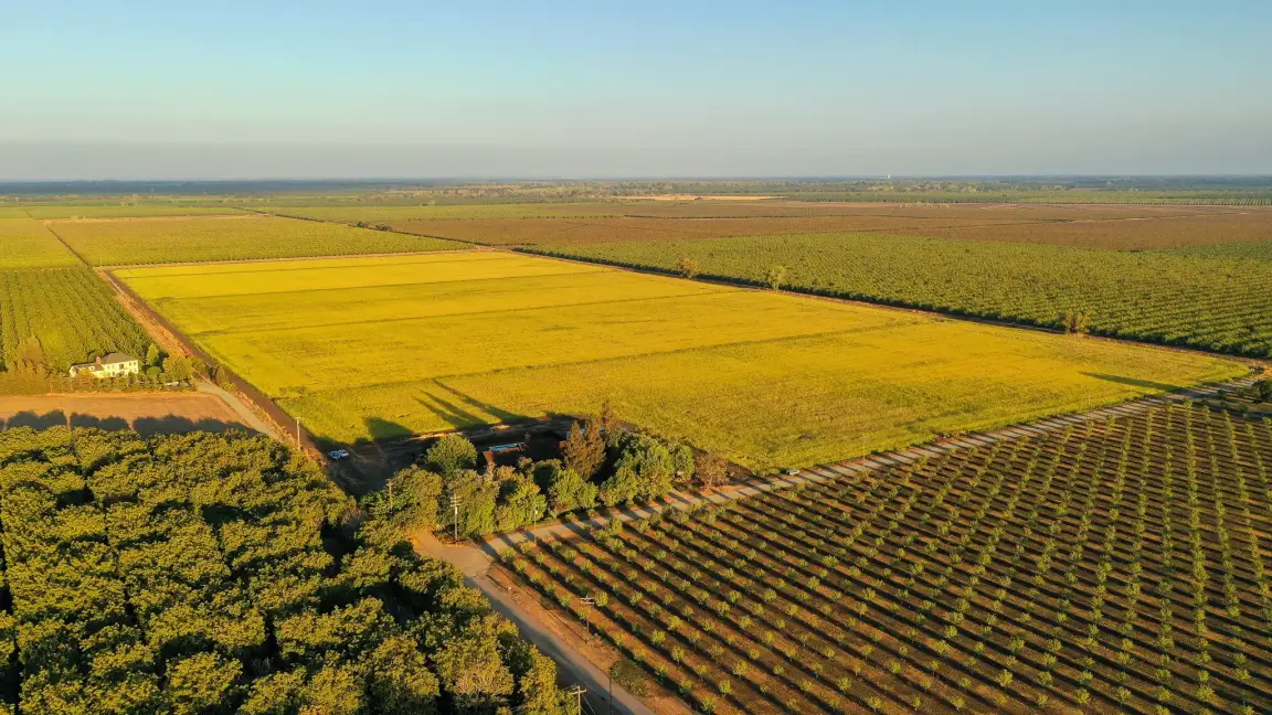 Large Field of Raw Land
