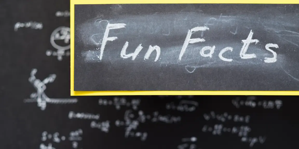 Fun Facts on a chalk board