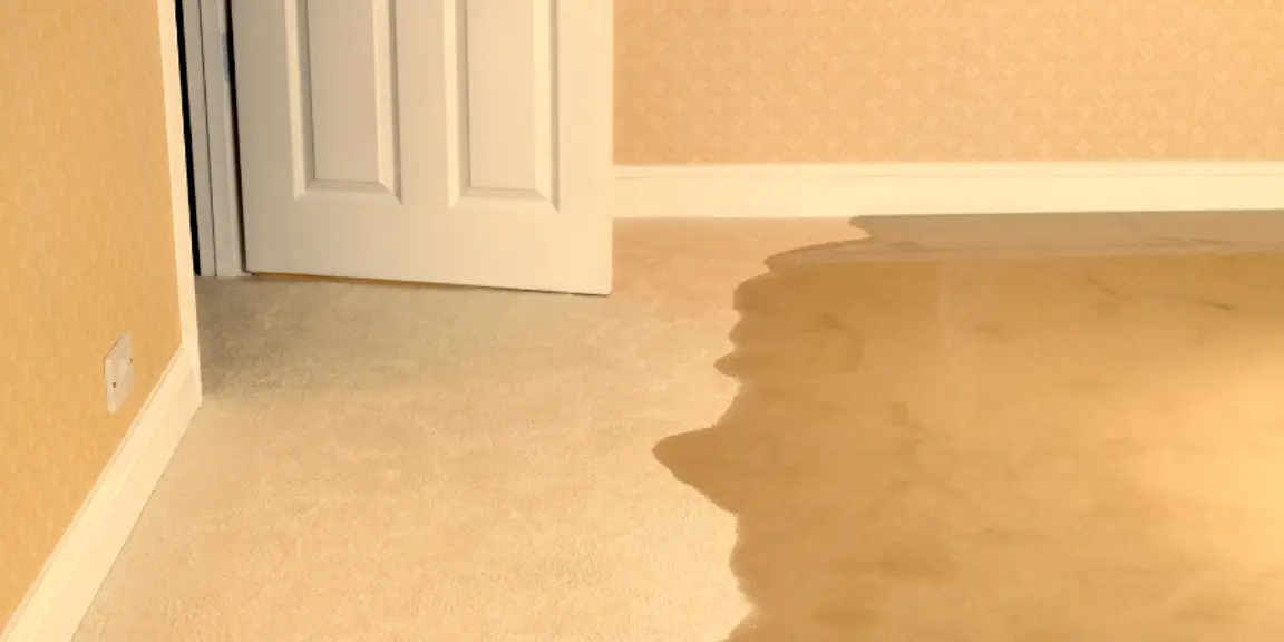 Flooded carpet and water damage inside a residential home after a plumbing or storm event