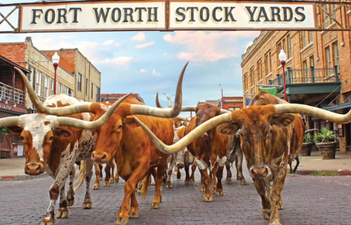 Sell My House Fast Fort Worth TX