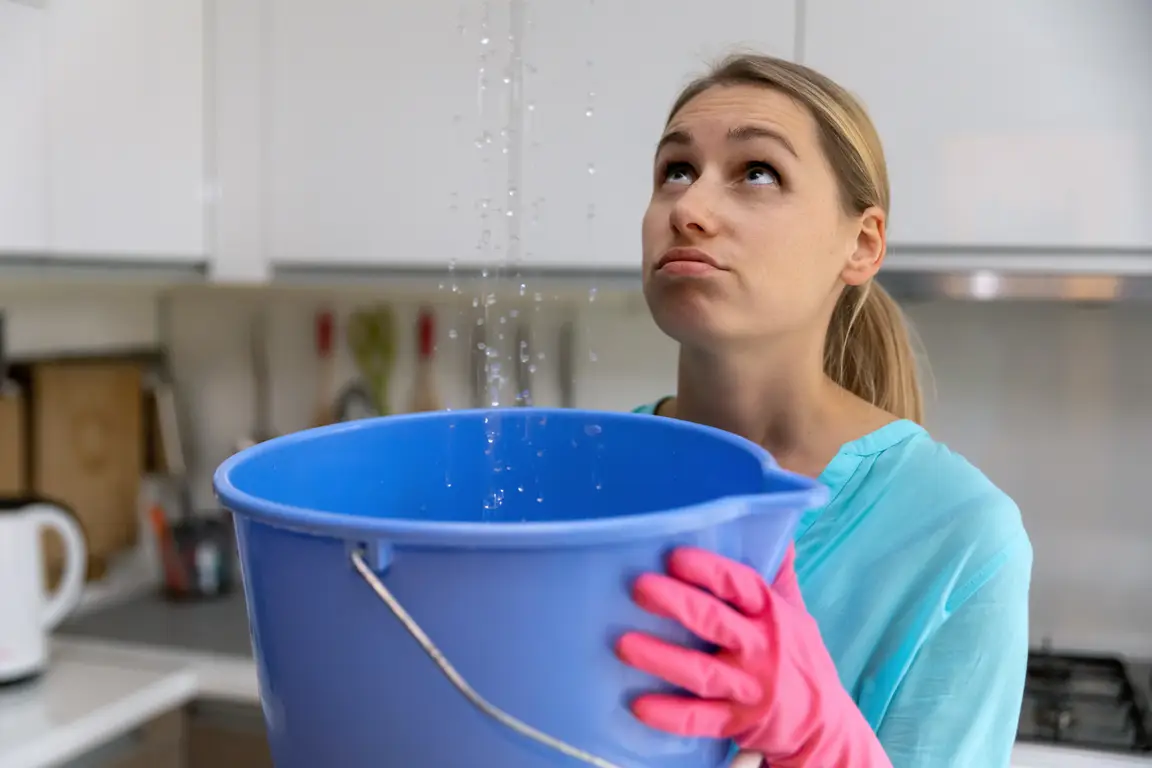 sell house leaking roof