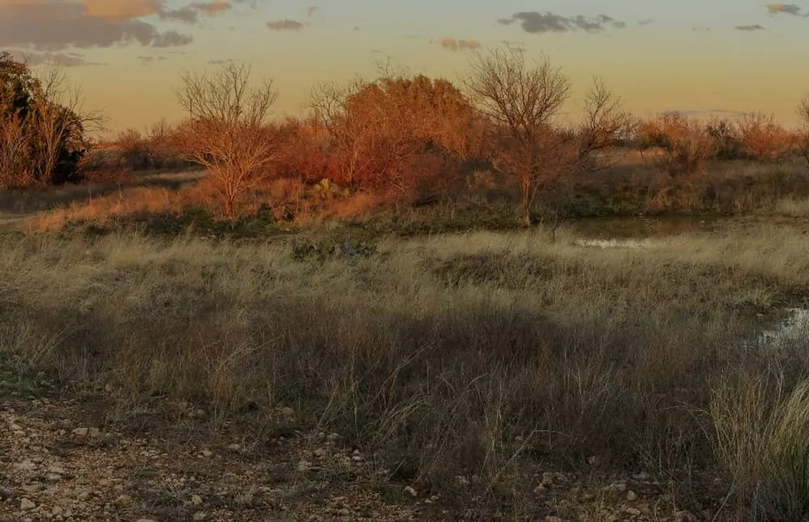 sell my vacant land san antonio