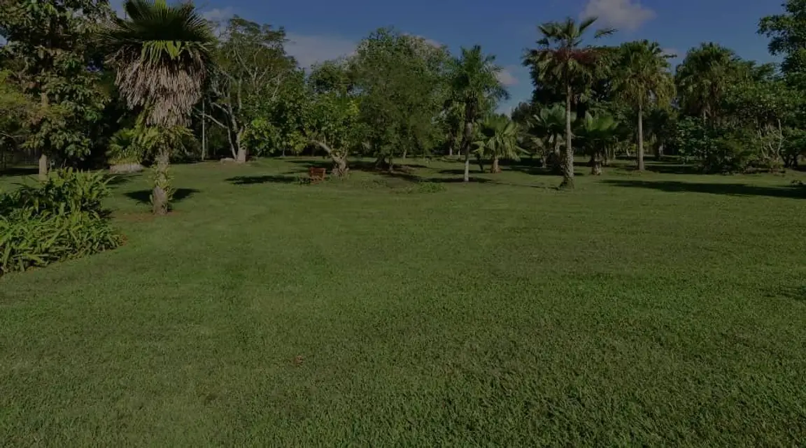 sell my vacant land palm beach
