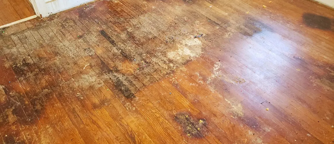 Sell Your Water-Damaged Home in North Carolina