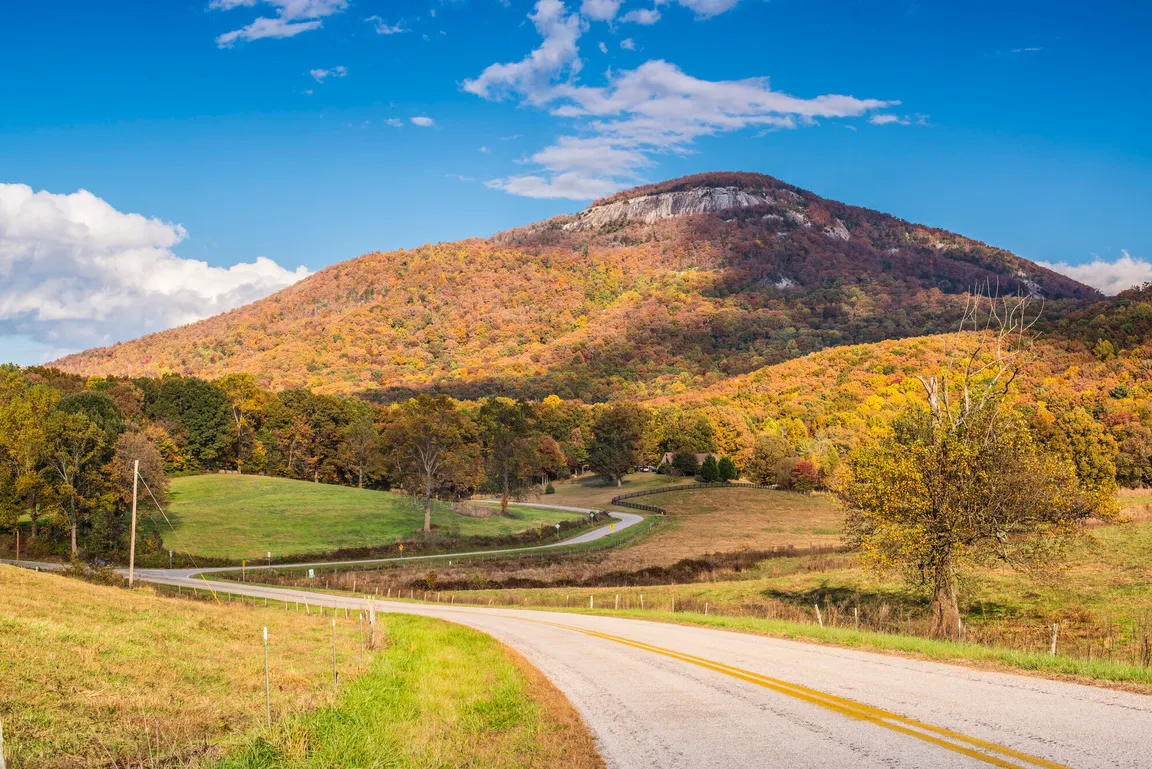 Sell your land in Georgia