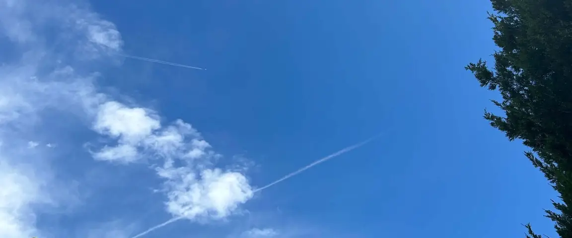 Blue skies and green trees